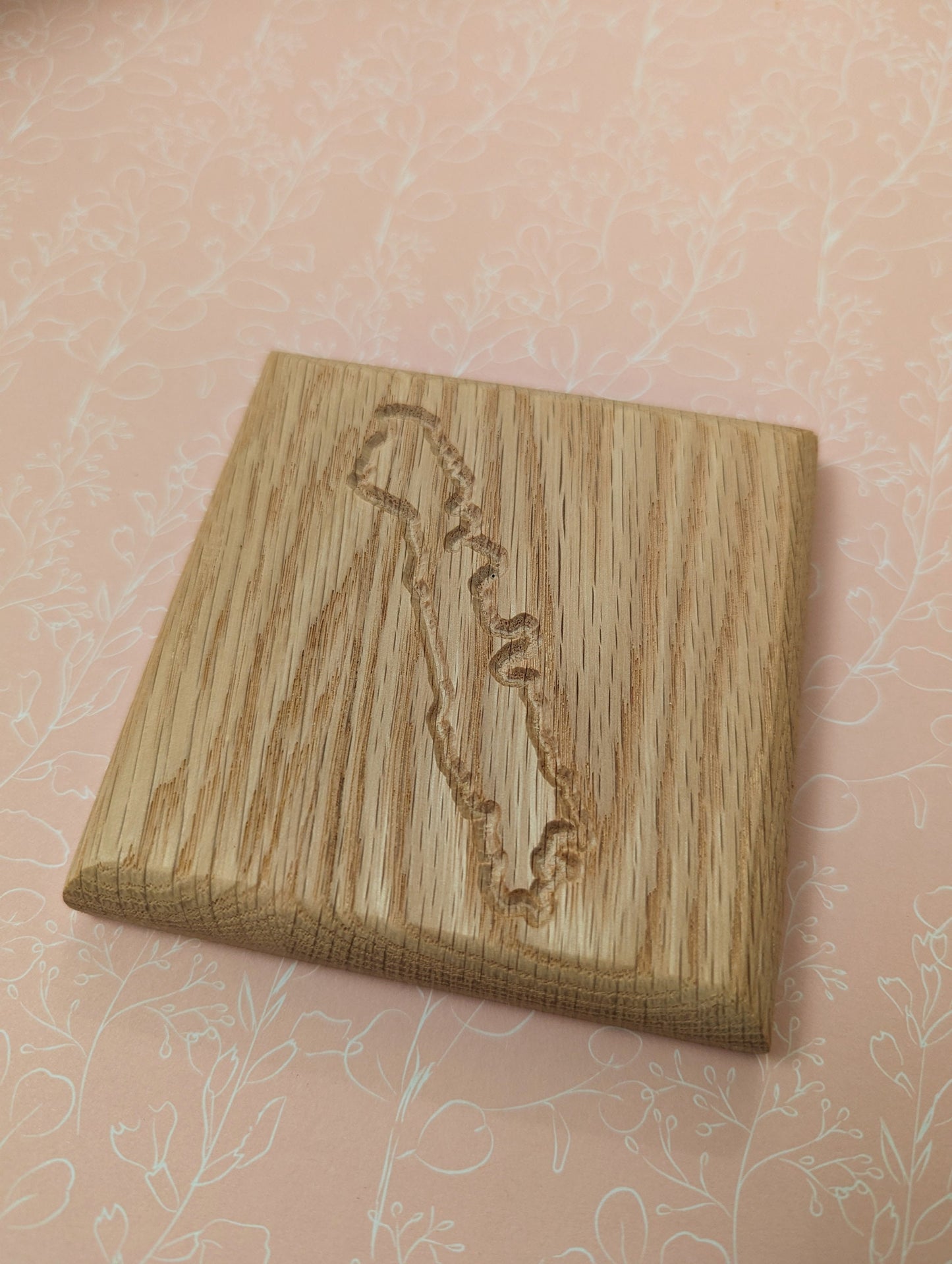 Lake District Coaster set (4)