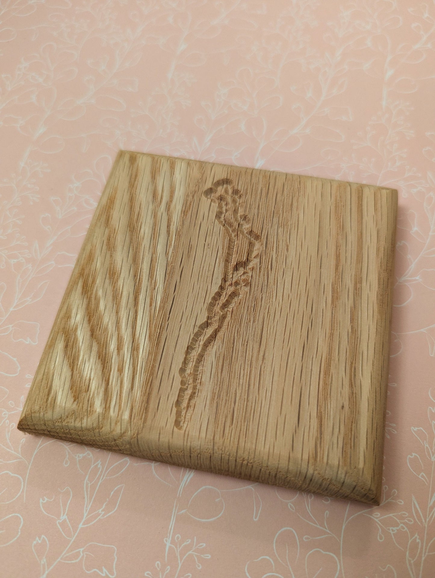 Lake District Coaster set (4)