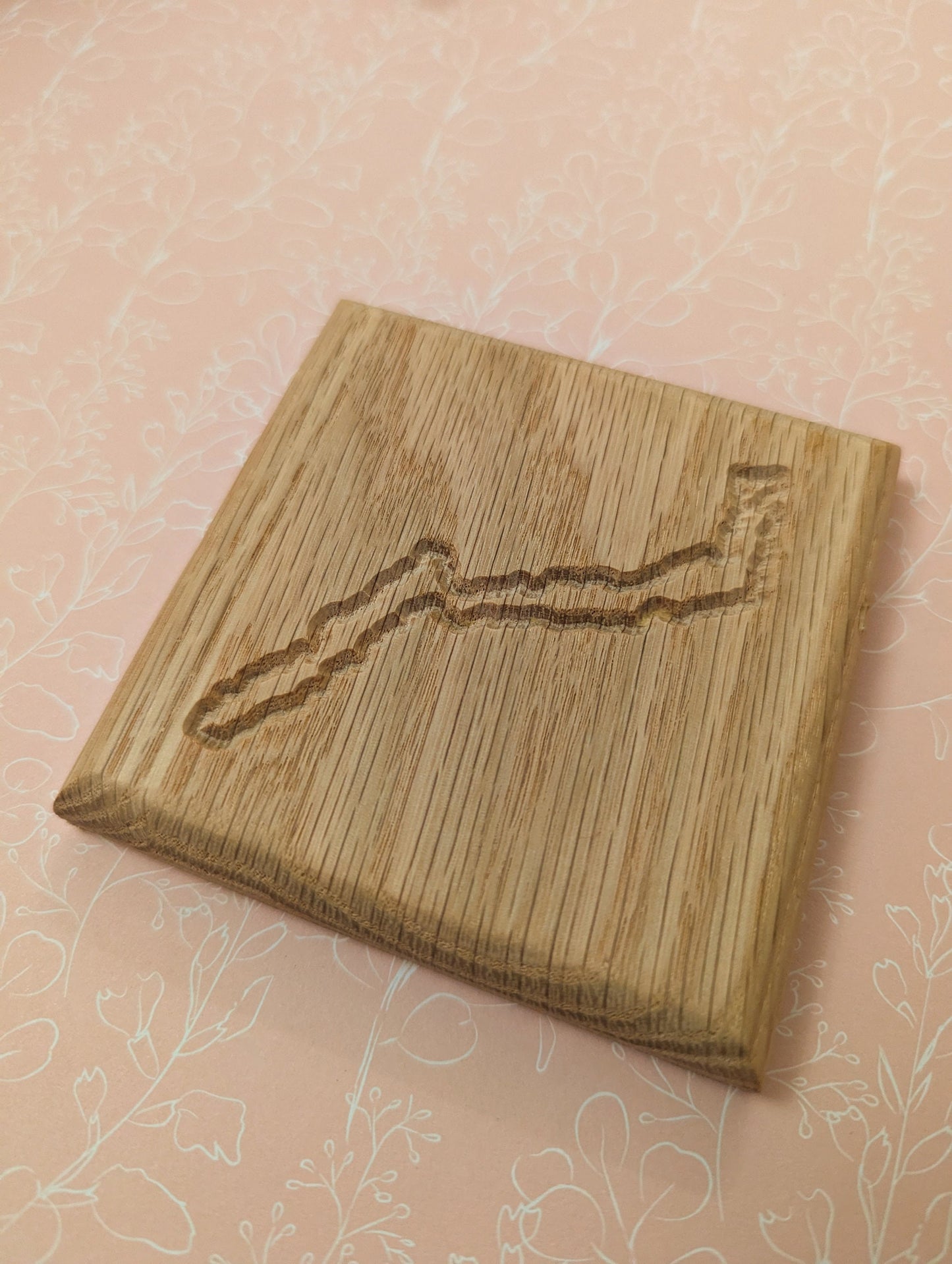 Lake District Coaster set (4)