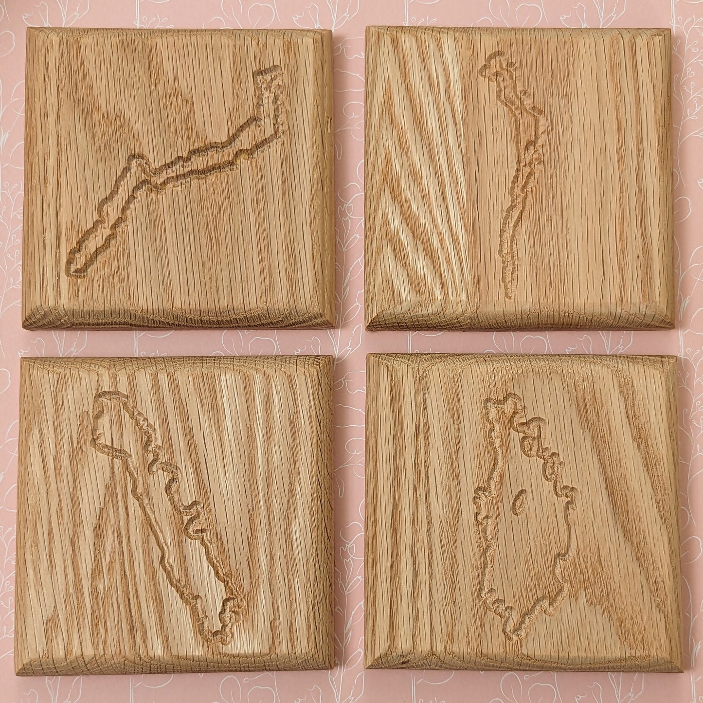 Lake District Coaster set (4)